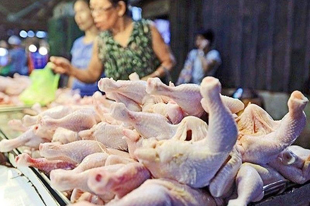 chicken-meat-market