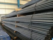 Green-push dilemma: China’s steel curbs could cripple price control efforts