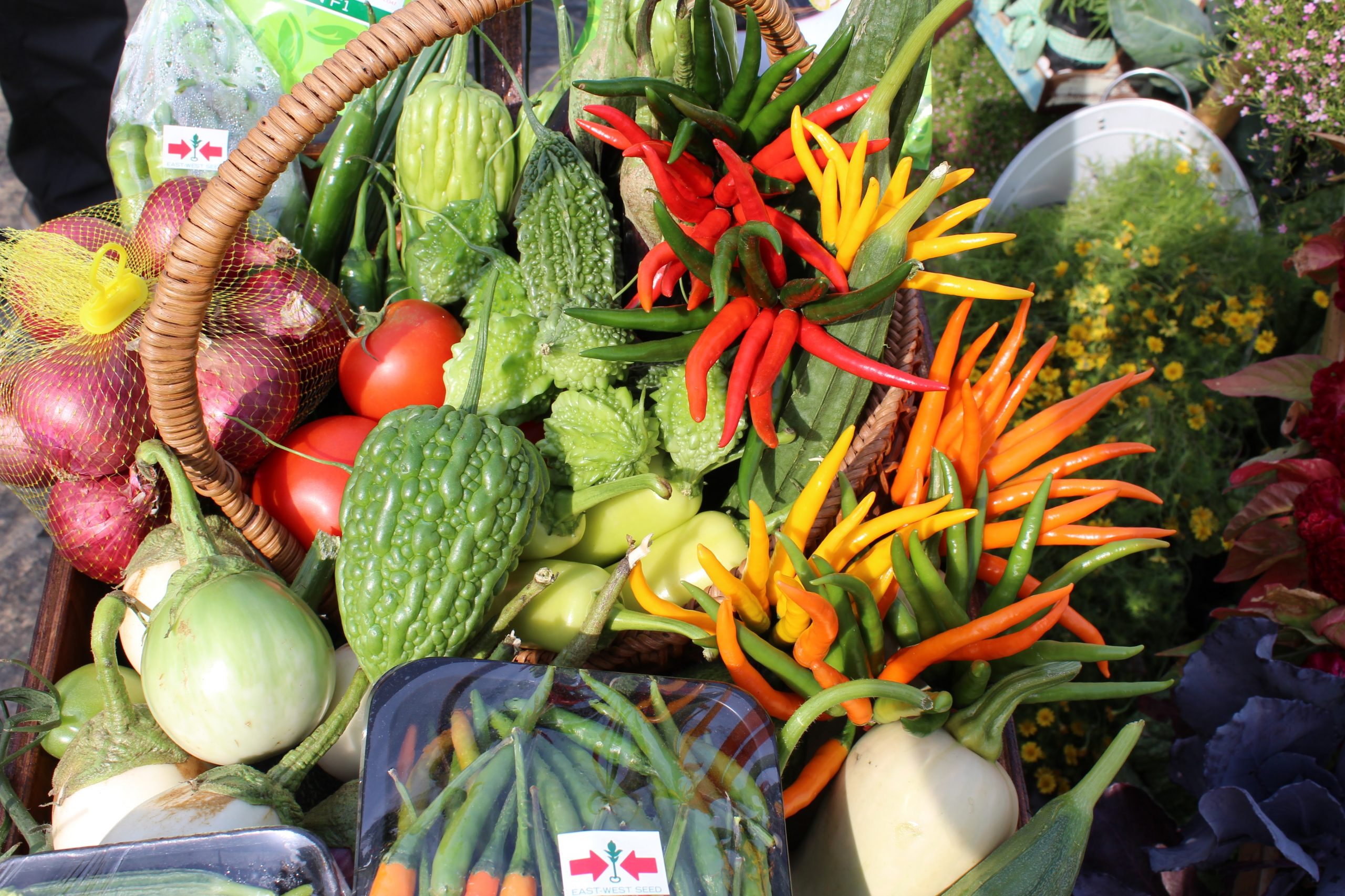 EWS Vegetables