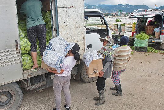 Agritech startup plans yield insurance to shield farmers from climate risks