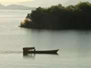 Powering toward a sustainable future