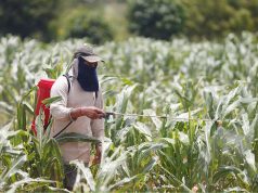 Regulator issues safety warning for fertilizer, pesticide sold online