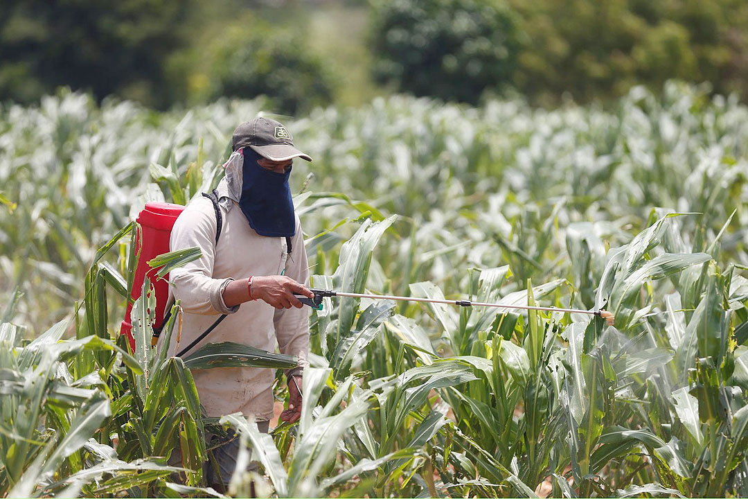 Pesticide-farmer