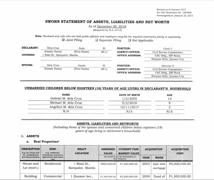 Sample-SALN-CSC.GOV.PH