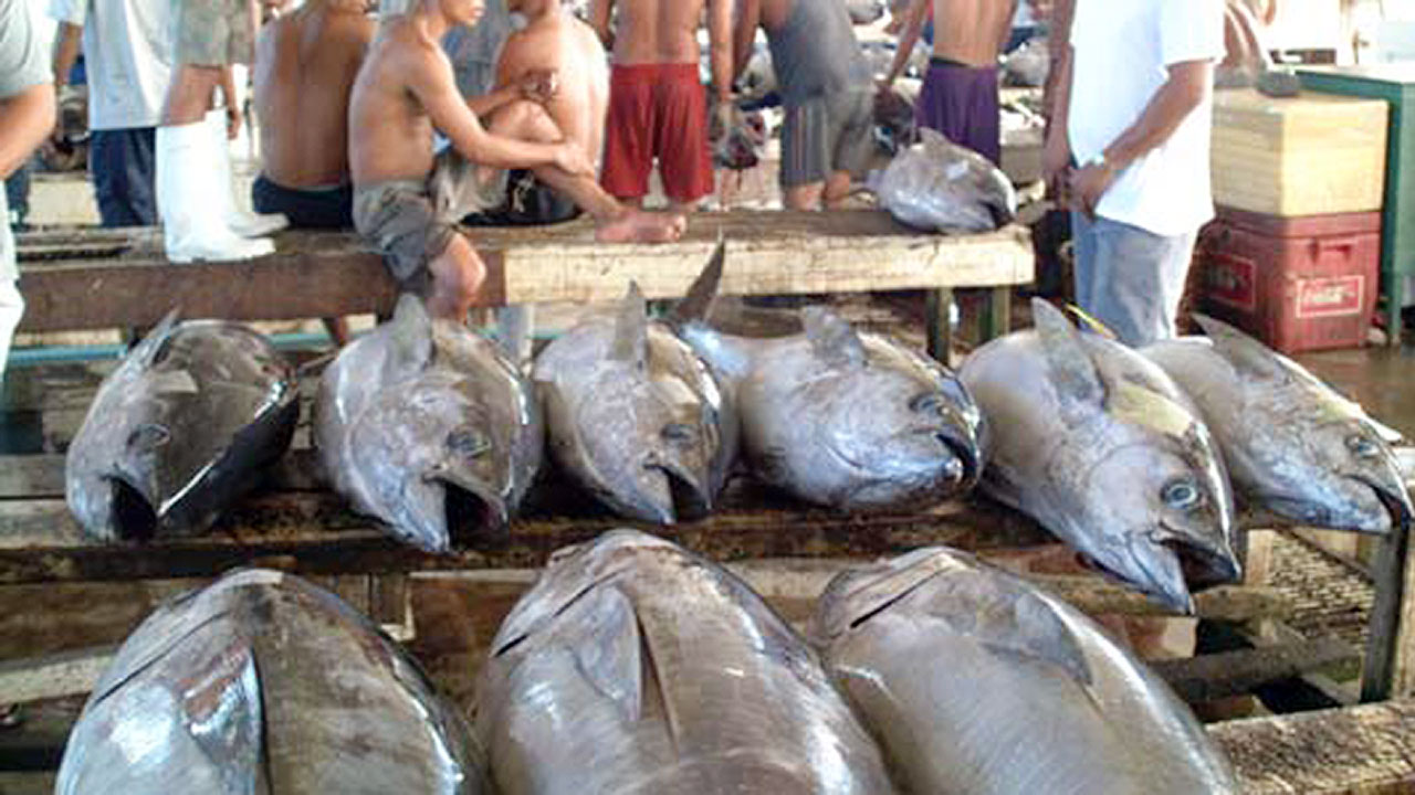 tuna-GenSan-113017