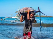 Fish production declines 6% in second quarter