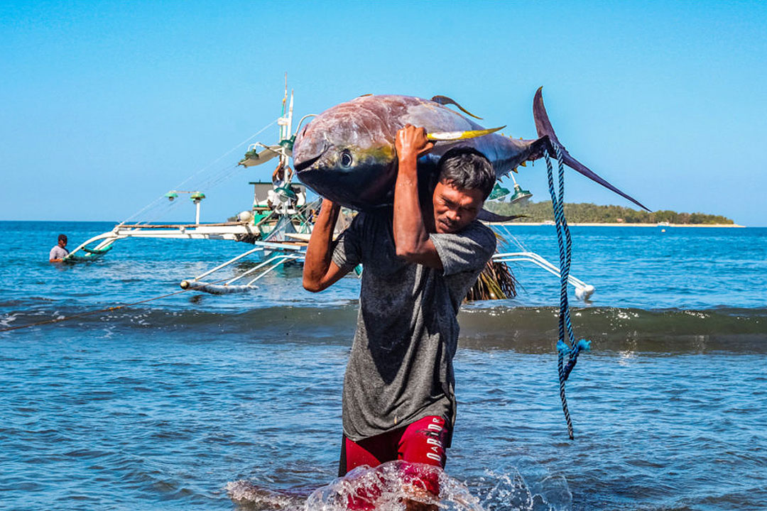 Small-scale tuna fishermen in Luzon obtain international