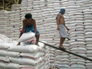 Korea-funded seed facilities to boost Philippine rice sector