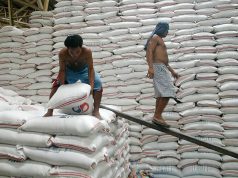 Korea-funded seed facilities to boost Philippine rice sector