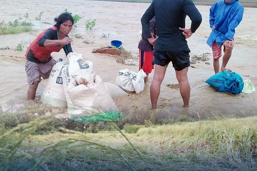 Typhoon-Maring-agridamage-CAGAYAN-PIO