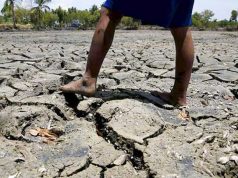 Momentum on climate action is waning, Singapore minister says as COP30 looms