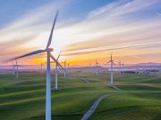 Renewable energy jobs grew globally in 2020 despite COVID-19 crisis