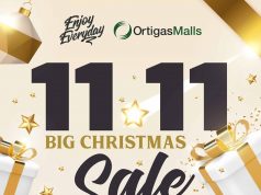 11.11 Sales and Promos