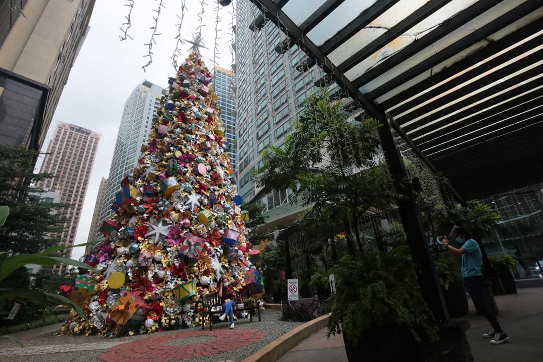 CHRISTMASTREE_EASTWOOD_05_VARCAS_171021