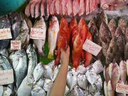 Election spending not a concern for prices — BSP