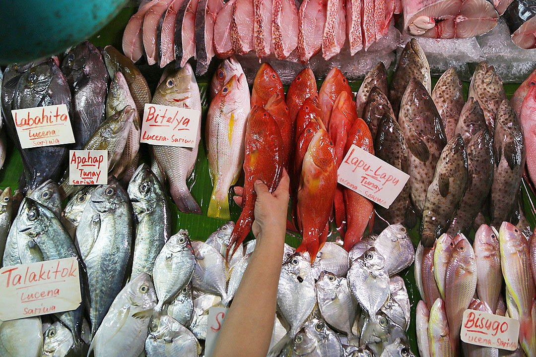 Fish-public-market