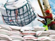 Marcos extends rice import ban through year-end to support farmers