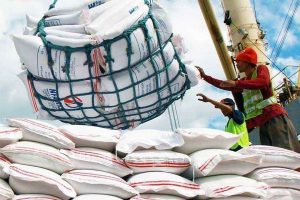 Rice imports fall 6.43% in six months to June as harvest improves