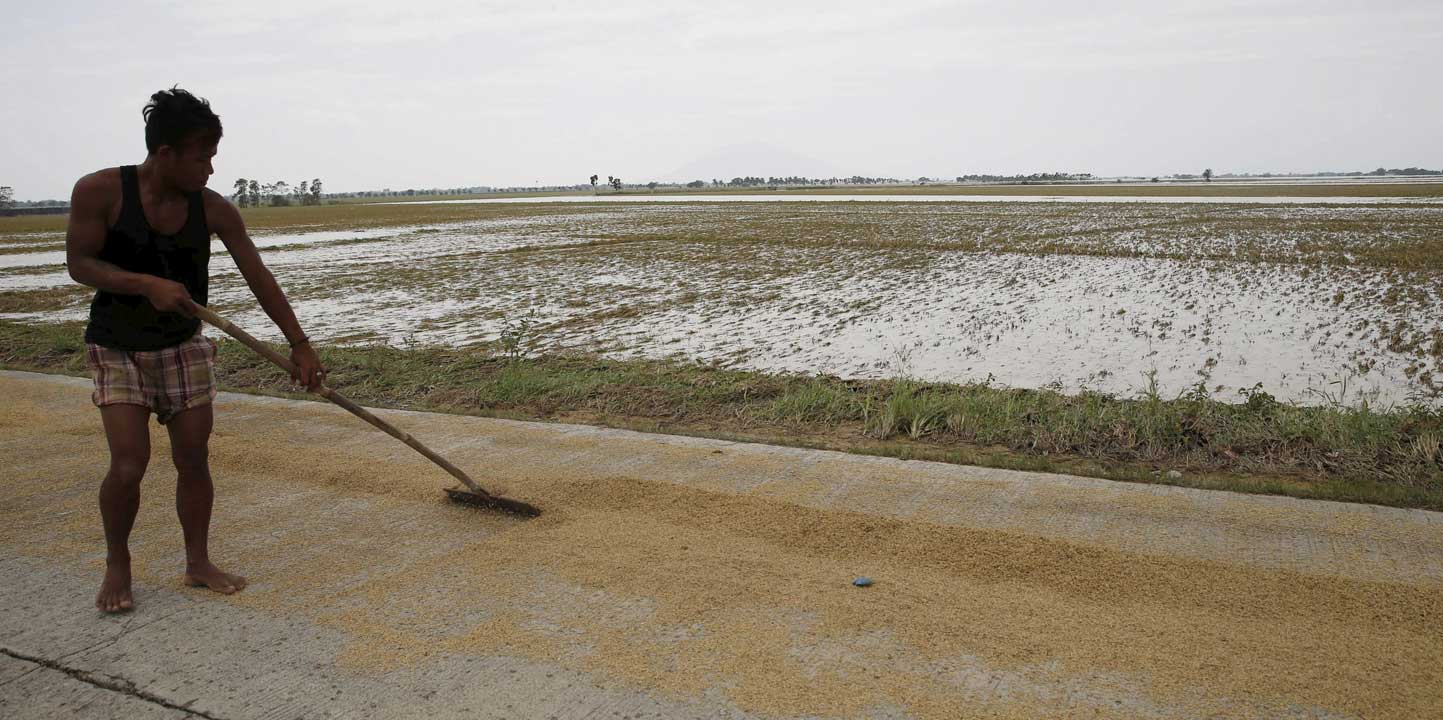 RICE-IMPORTS