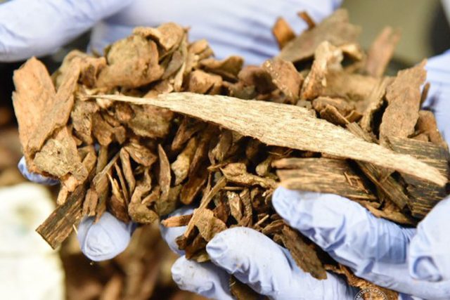 agarwood-BOC
