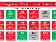 How PSEi member stocks performed — November 11, 2021