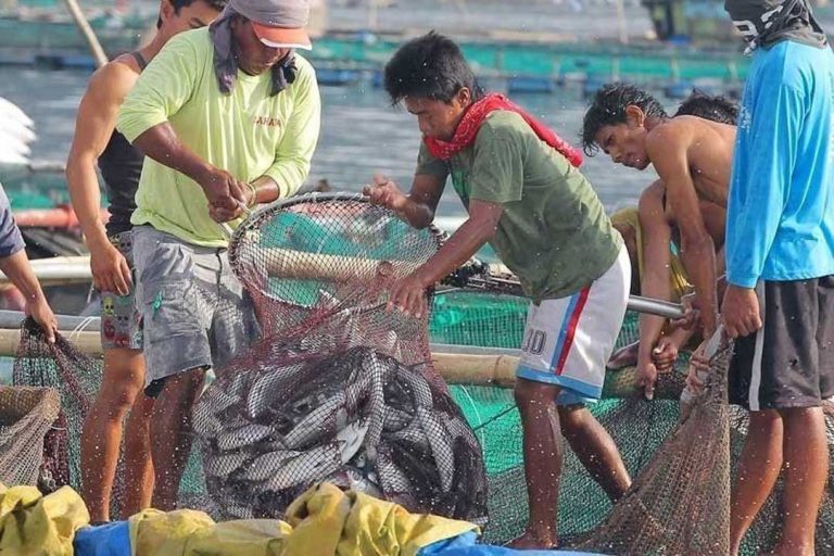 Organization  of fishermen  seeks gov’t help  for members