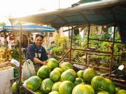 Crop exports at risk from fading Chinese rebound