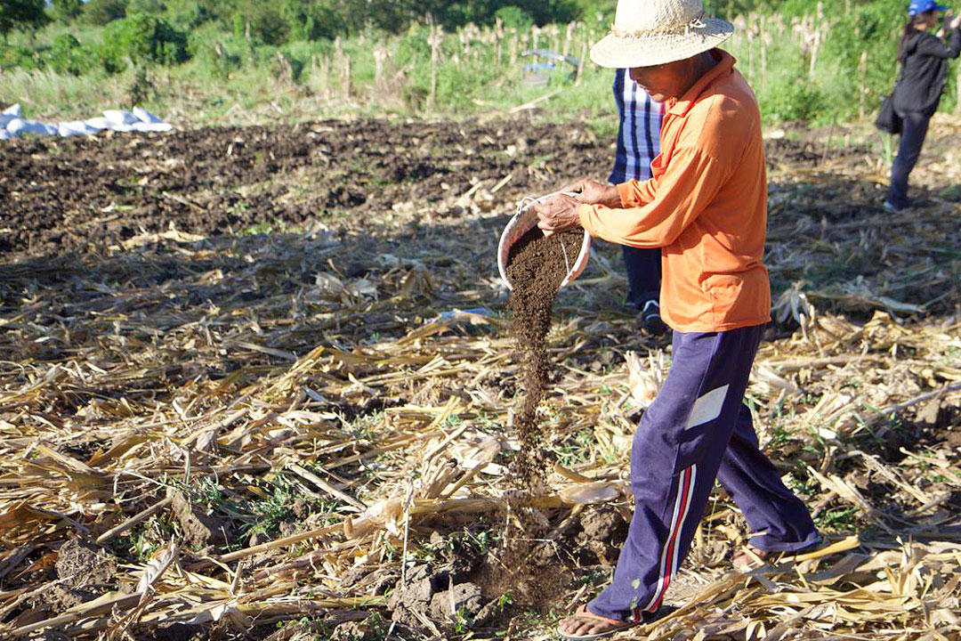 indonesia-farmers