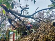 21,000 vaccine doses wasted in Odette-hit areas