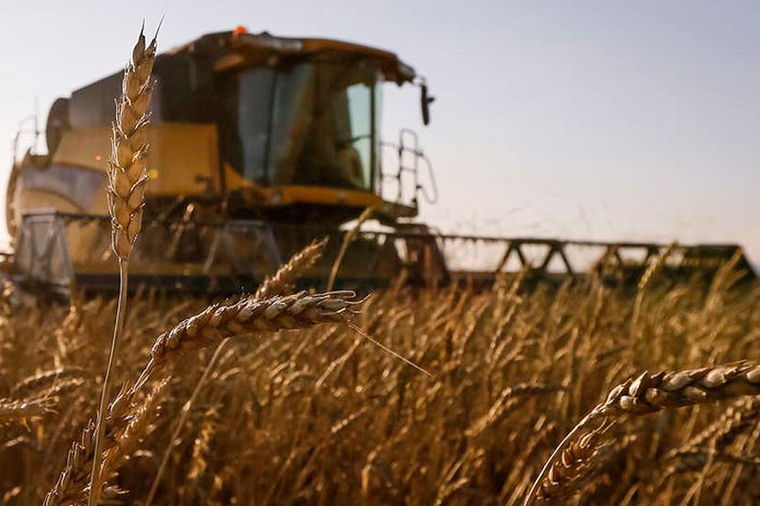 Russia-wheat