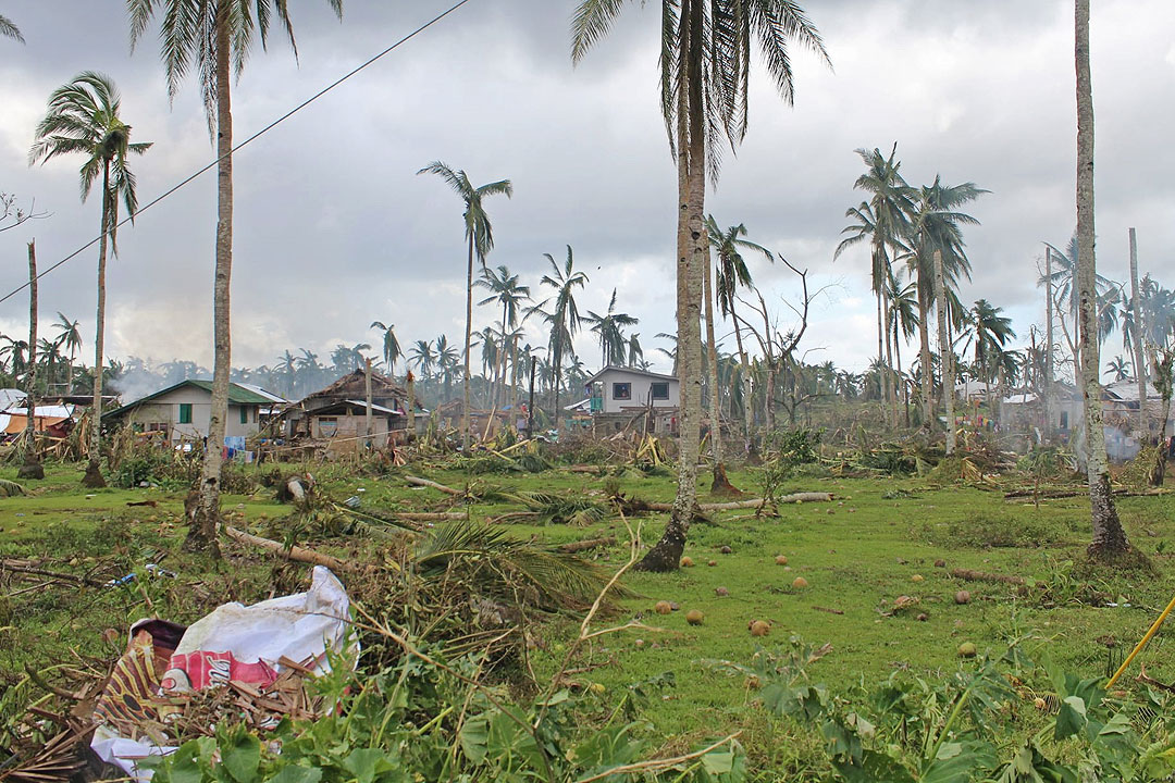 Typhoon-agri