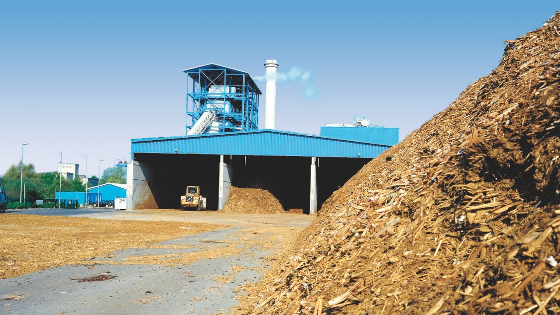biomass