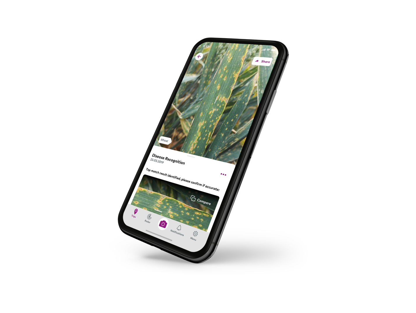 en_xSC_mockup-disease-tilted_713x536px@2x