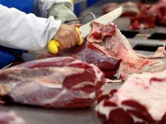 German pork import regionalization scheme expected to be in place within three months