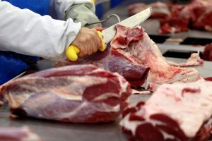 Polish pork from zones not affected by ASF to be allowed for import