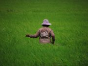 Thai farmers fear loss of land to mega industrial zone