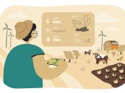 A strategic plan for the Philippine economy