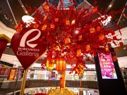 Chinese New Year (02/01/22)