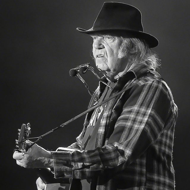 Neil_Young_Stavernfestivalen_2016_(220929)