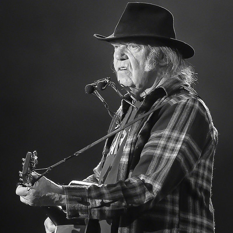 Neil_Young_Stavernfestivalen_2016_(220929)