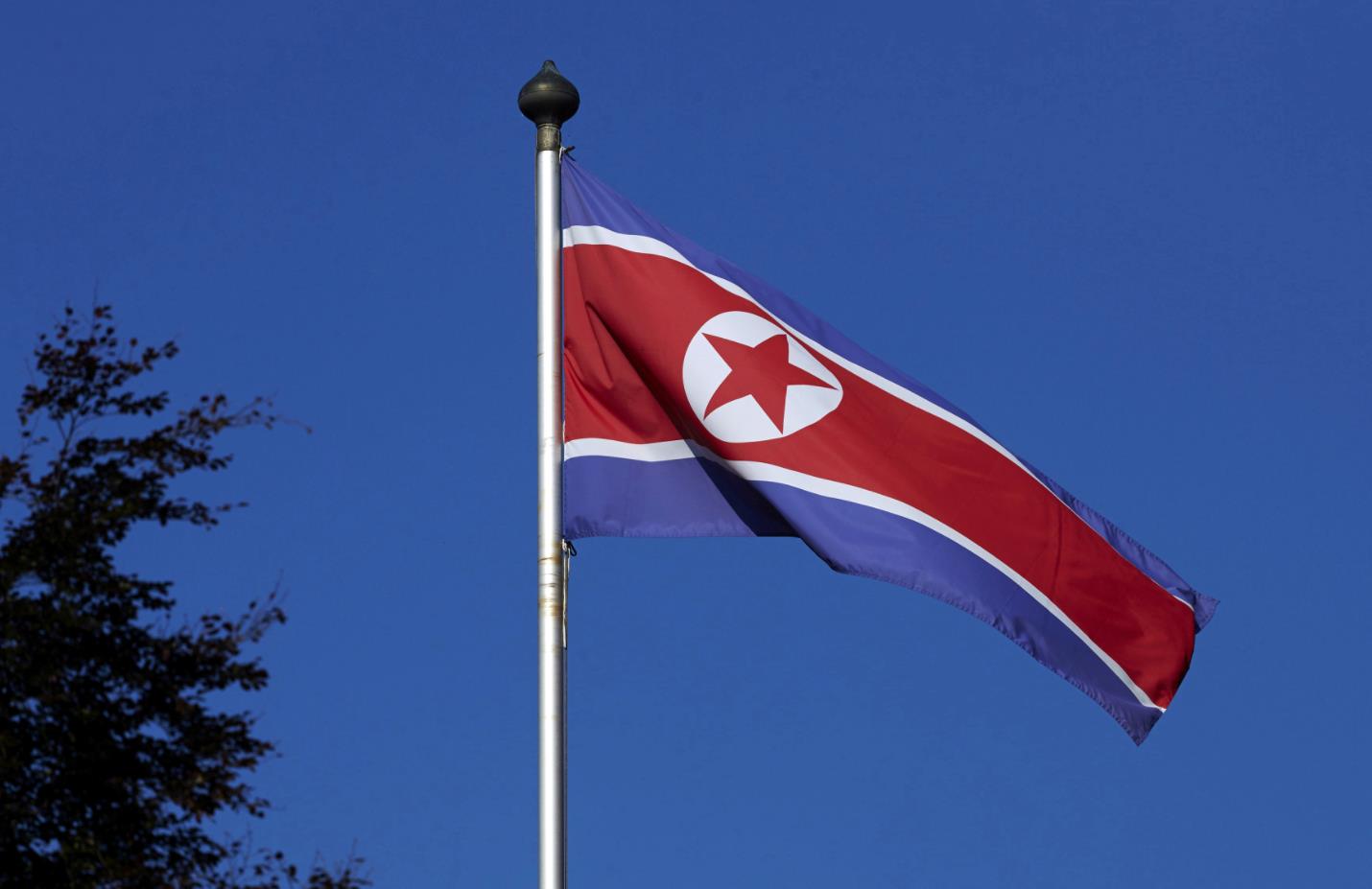 North Korea Flag