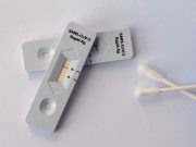 Germany assessing reliability of antibody tests for Omicron — minister