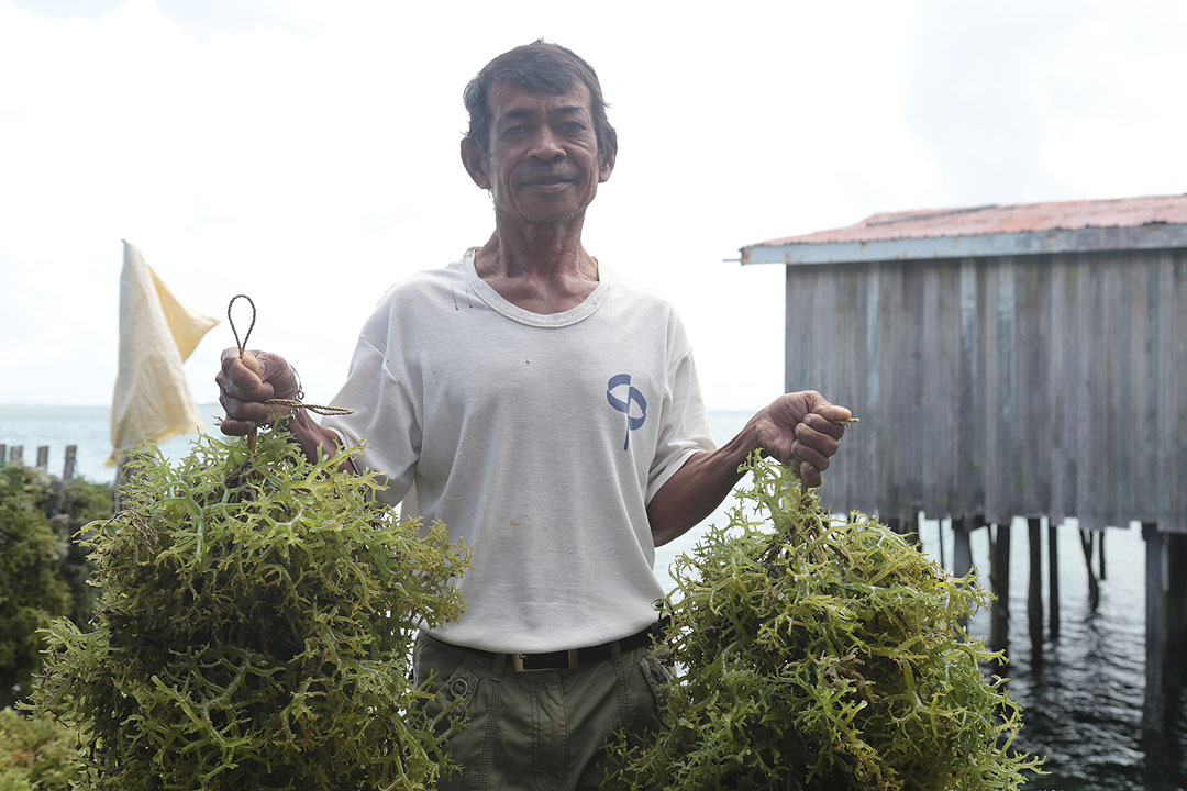 seaweed-farmer-PRDP.DAgovph