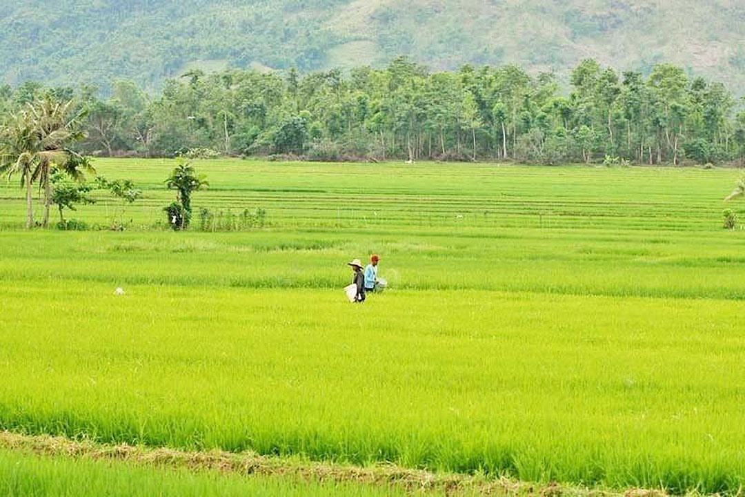 Farmer-fertilizer