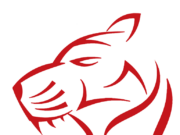 Forecast for the Year of the Water Tiger 2022