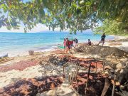 Sarangani Bay communities battle crown-of-thorns starfish outbreak