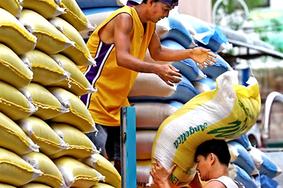 rice-workers