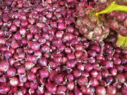 Red onion prices expected to stabilize towards year’s end