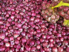Red onion MSRP raised to P150/kg as import costs rise