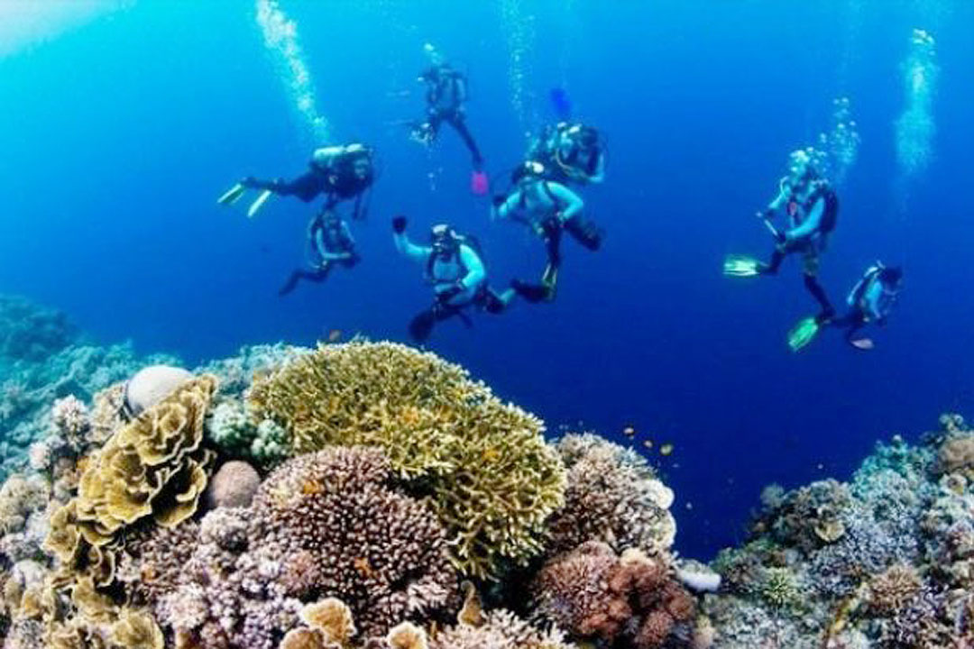 Coral-reefs